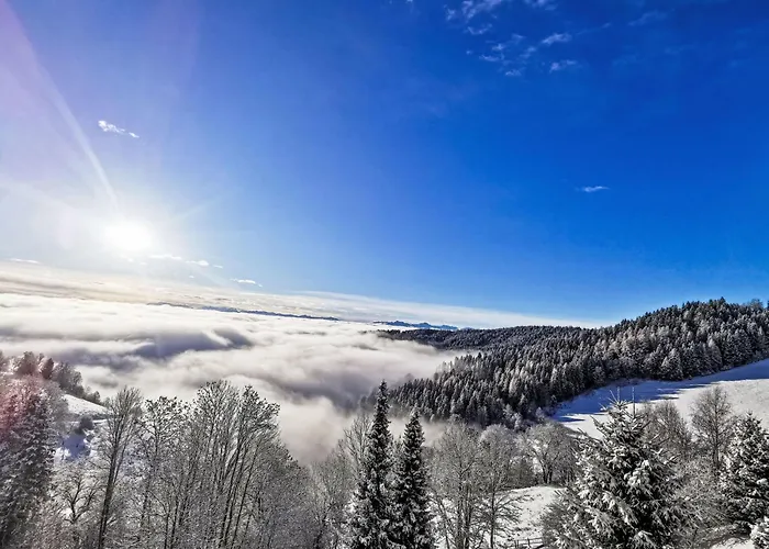 Urban & Florian-6 By Interhome Lejlighed